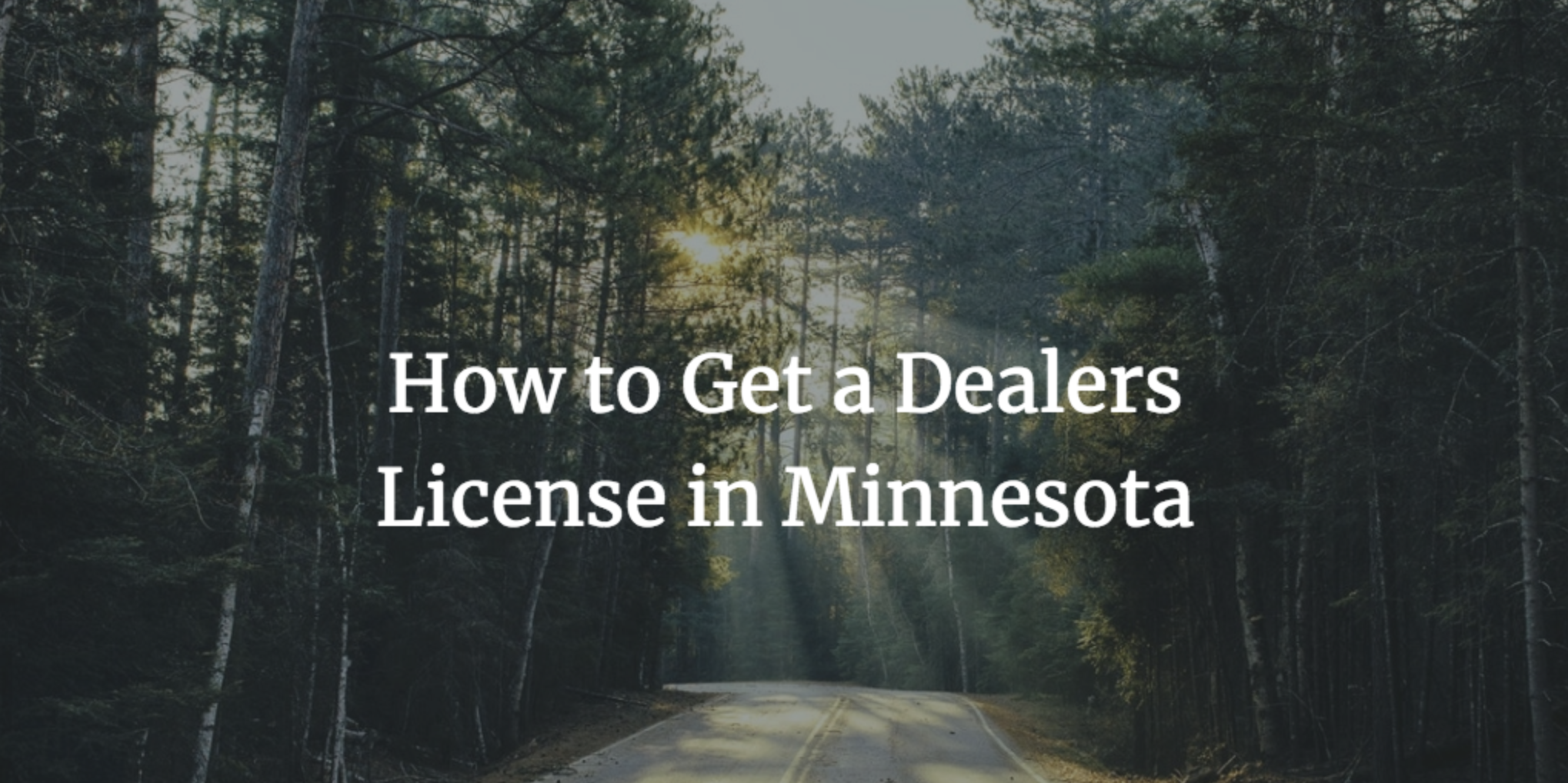how to get a minnesota dealers license