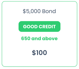 5000 surety bond good credit